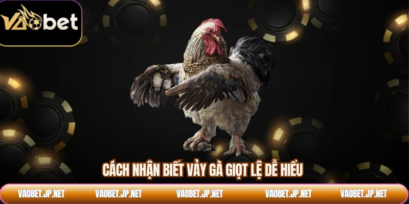 Cách nhận biết vảy gà giọt lệ dễ hiểu