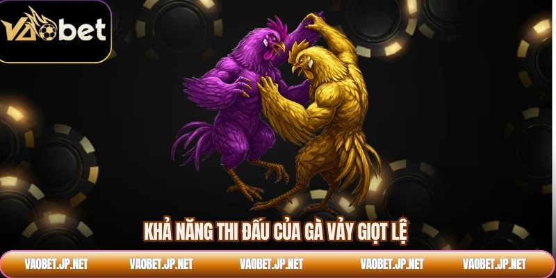 Khả năng thi đấu của gà vảy giọt lệ