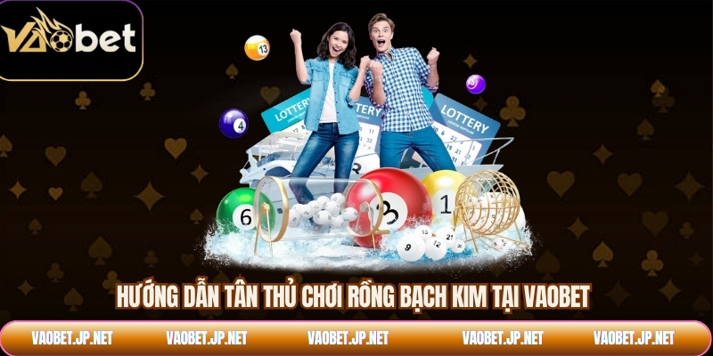 Hướng dẫn tân thủ chơi rồng bạch kim tại VAOBET